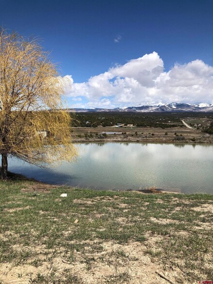 37988 & 38014 Highway 184, Mancos, CO 81328
