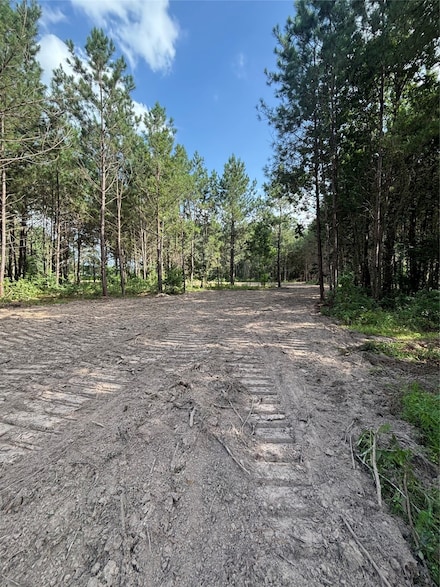 TBD County Road 3015 - Tract C3, Dayton, TX 77535