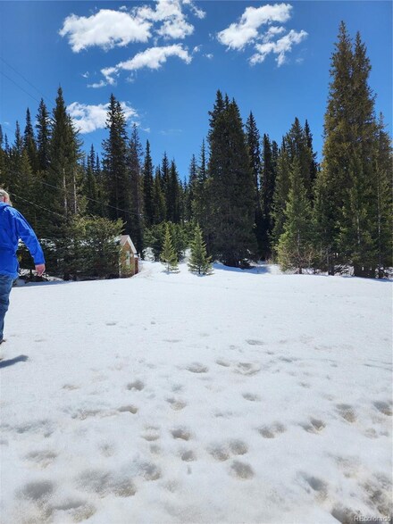 0 Montezuma Rd, Montezuma, CO 80435