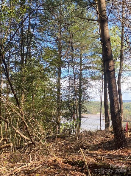 tbd Scenic Ln Unit 247, Granite Falls, NC 28630