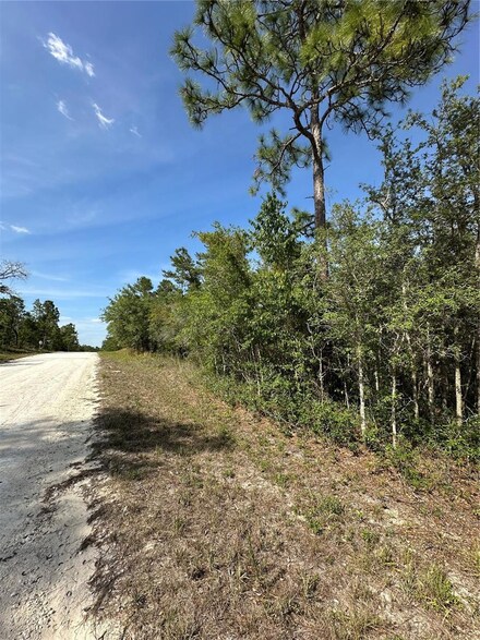 14106 Eastern Phoebe Rd, Weeki Wachee, FL 34614