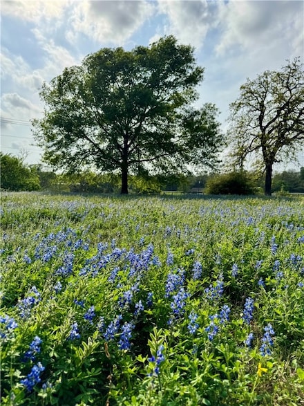 15420 Arhopulos Rd, College Station, TX 77845