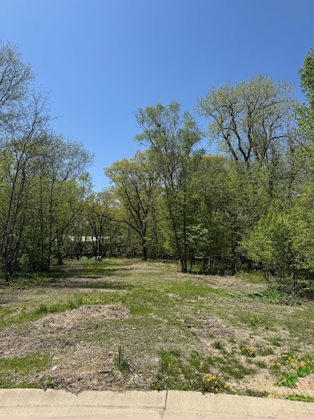 180 Woodland, Henderson, MN 56044