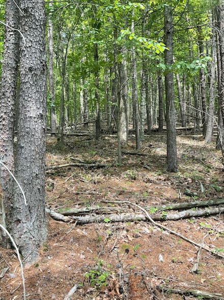 0 Cove Creek Rd, Sweet Springs, WV 24941