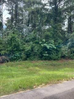 TBD N Spring Creek Cir, Cobb, GA 31735