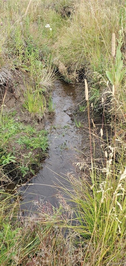 1547 Cary Ln Unit 1547,1548, Fort Garland, CO 81133