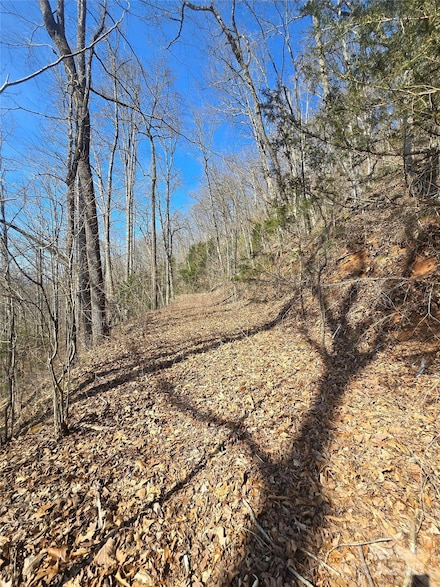 30 Black Mountain Rd, Cullowhee, NC 28723