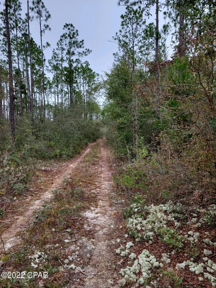 13617 Rollohome Rd, Fountain, FL 32438