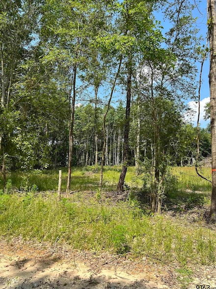 642 Loop 343, Rusk, TX 75785