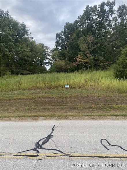 Lot 29 Country Club Cove Dr, Lake Ozark, MO 65049