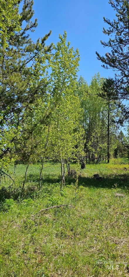 174 Meadow Place, Donnelly, ID 83615