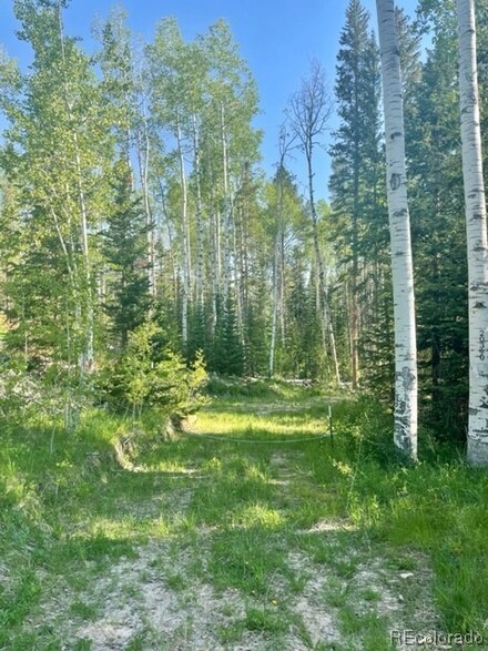 20390 King Bolt Trail, Oak Creek, CO 80467