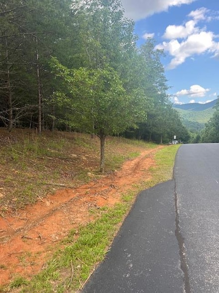 Lot 13 Gladys Ln, Young Harris, GA 30582