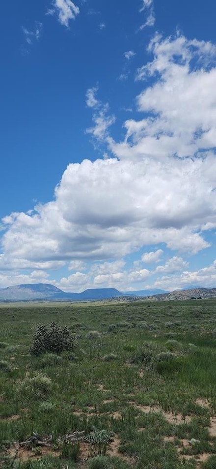 TBD Black Hills, Walsenburg, CO 81089