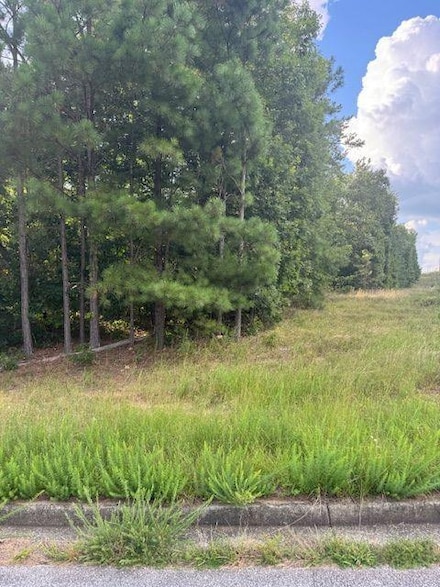 4020 Gold Springs Pass, Villa Rica, GA 30180