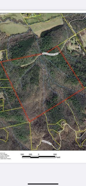 0 Spotted Mule Run, Brasstown, NC 28902