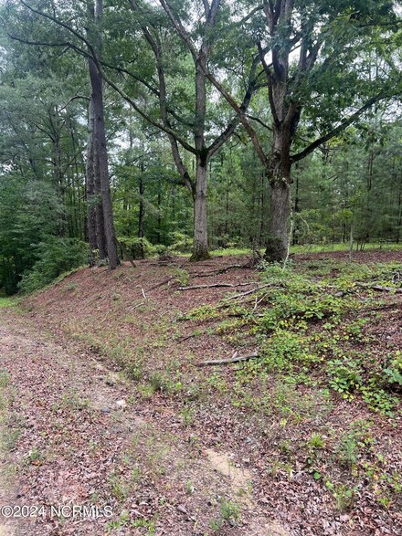 0 Charles, Eagle Springs, NC 27242