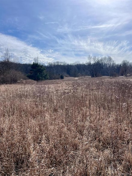 Parcel 2 E Coon Lake Rd, Genoa Township, MI 48843