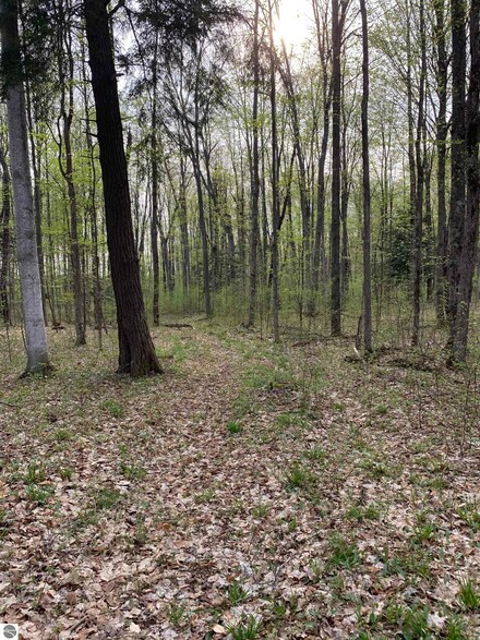 0 Langs Ln, Inland Township, MI 49643