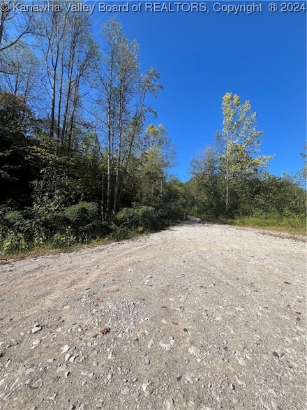 1029 Toney's Branch Rd, Bloomingrose, WV 25024