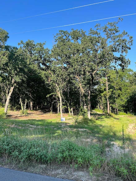 3242 Shadow Pine Dr, Larue, TX 75770