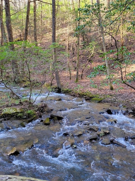 0 Tall Tree Trail Unit RTC2679787, Dunlap, TN 37327