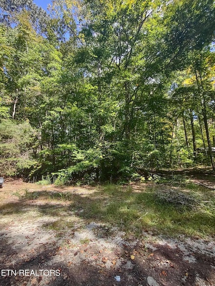 0 Hueston Wood Ln Unit 1278196, Speedwell, TN 37870
