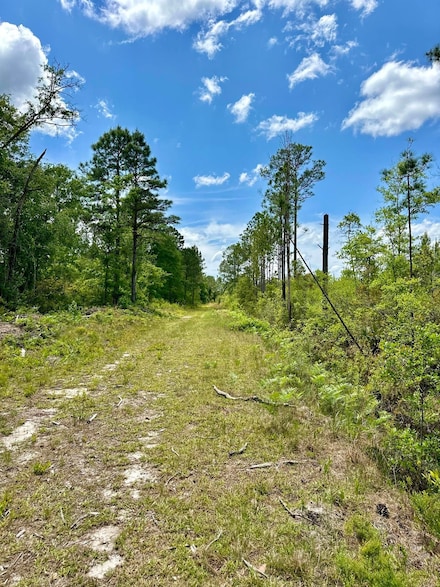 0 E Hwy 280 Unit 20175781, Pembroke, GA 31321