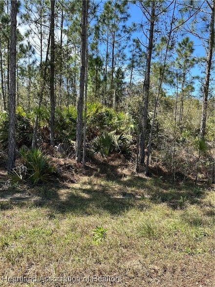 628 Barclay St, Lake Placid, FL 33852