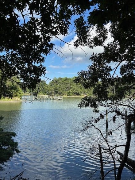 Lot 202 Heron Dr Unit 202, MacHipongo, VA 23405