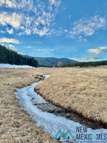 28289 U S Highway 64, Eagle Nest, NM 87718