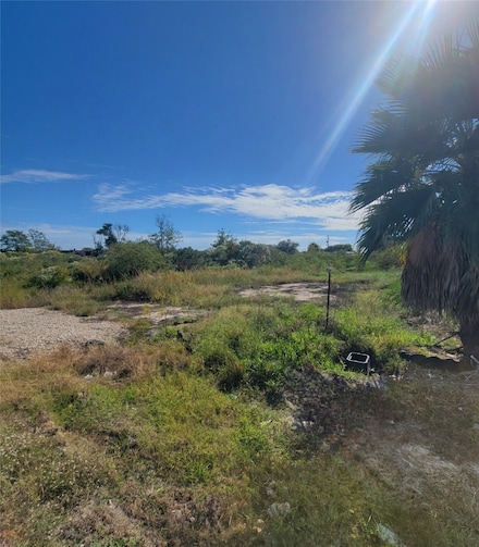 7005 Schlitz Ln, Hitchcock, TX 77563