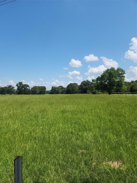 0 Farm To Market Road 317, Murchison, TX 75778