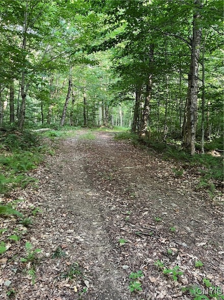 0 Town Line Rd, Lorraine, NY 13659