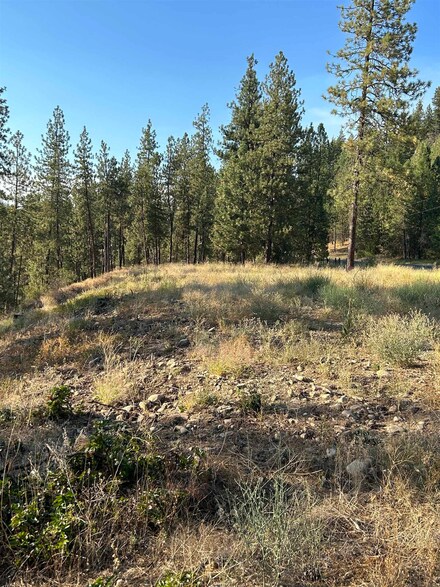 4250 Highway 231, Springdale, WA 99173