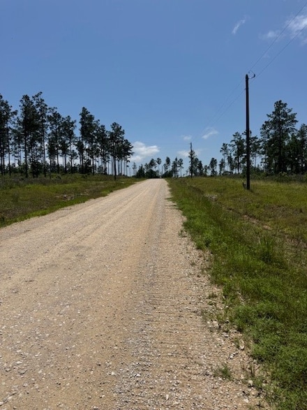 TBD 37 Reveille Rd, Livingston, TX 77351