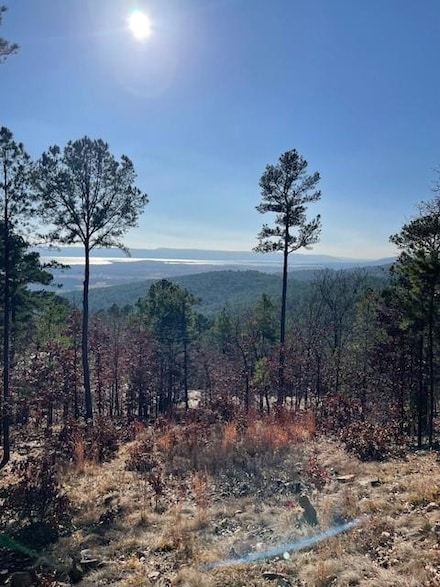 8 Sardis View Dr, Tuskahoma, OK 74574