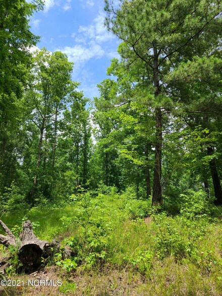 0 Bluff Rd Unit 100196621, Chocowinity, NC 27817