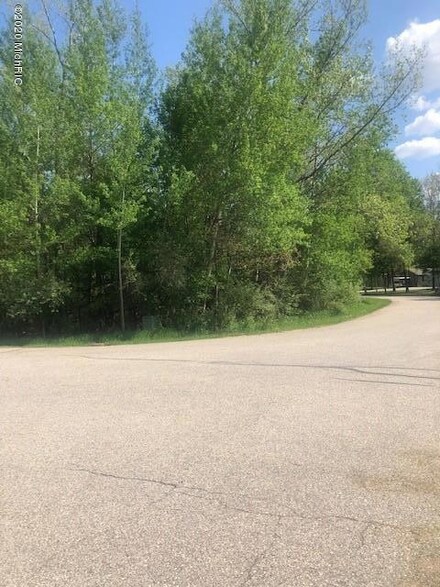 1021 Sequoia Ln, Weidman, MI 48893