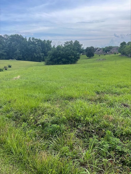 0 E Lookout Dr, Carriere, MS 39426
