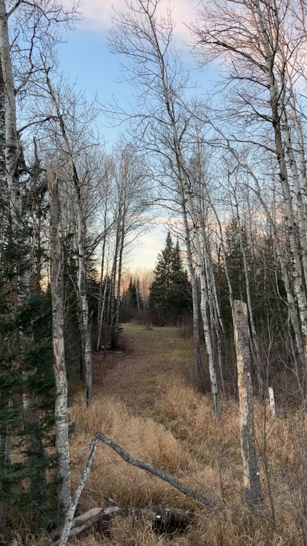 6100 Herranen Rd, Cromwell, MN 55726