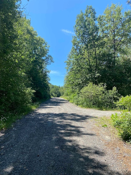 Lot 5 Shore Dr, Springfield, NH 03284