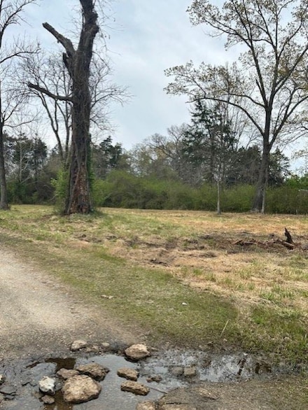 0 Frances Cove Rd Unit 25012473, Mountain View, AR 72560