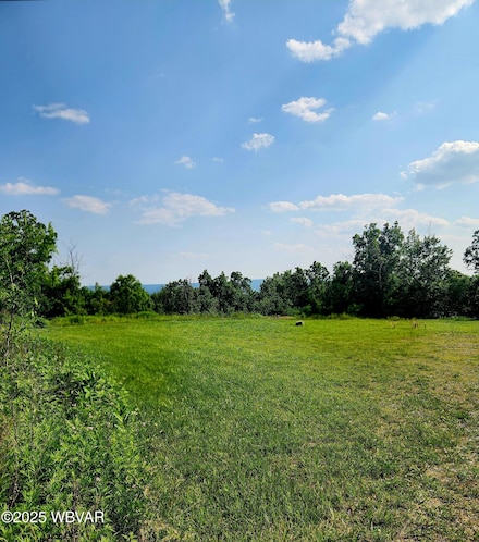140 Riverwood Rd, Montgomery, PA 17752