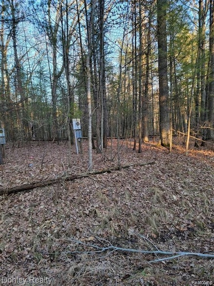 192 Princess Way, Butman Township, MI 48624