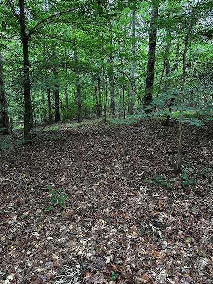 0 Ayers Rd Unit 7596723, Bowdon, GA 30108