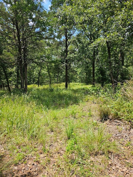 Lot 377 Timber Ridge, Larue, TX 75770
