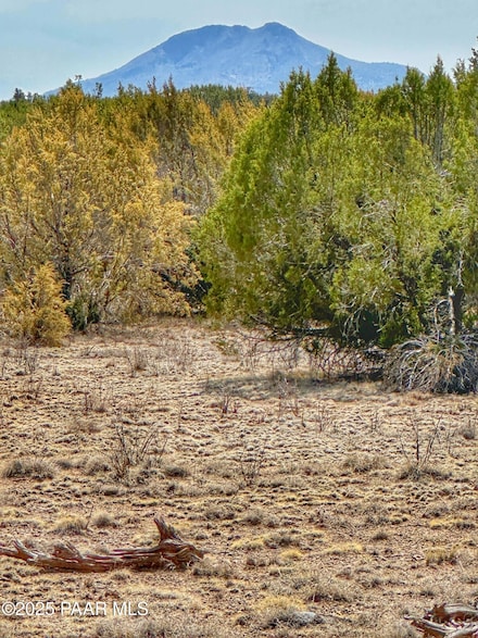 01 Skedaddle, Seligman, AZ 86337