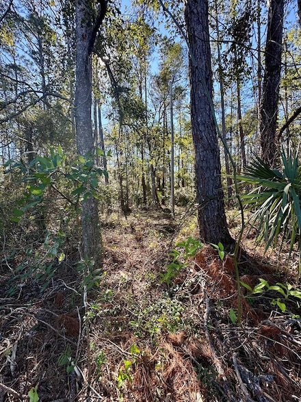0 NW Highway 19, Cross City, FL 32628