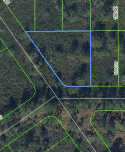1316 Lark St, Lake Placid, FL 33852